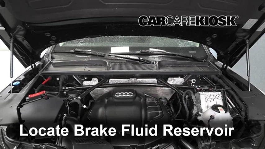 2019 Audi Q5 Prestige 2.0L 4 Cyl. Turbo Brake Fluid